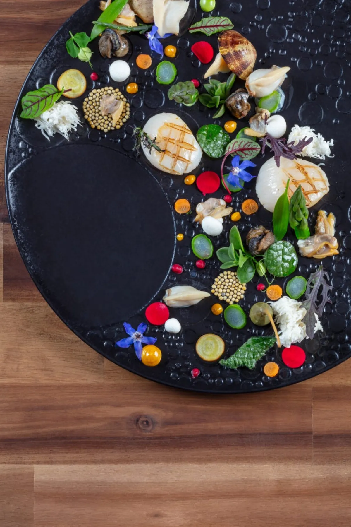Assiette plate rond noir porcelaine vitrifiée Ø 29,9 cm Create - RAK