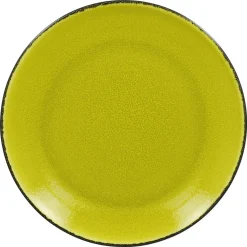 Assiette plate rond vert porcelaine vitrifiée Ø 26,7 cm Fire - RAK New