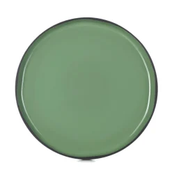 Assiette plate rond vert porcelaine culinaire Ø 28 cm  Caractère - REVOL Sale