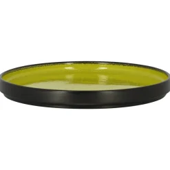Assiette plate rond vert porcelaine vitrifiée Ø 22,7 cm Fire - RAK Online