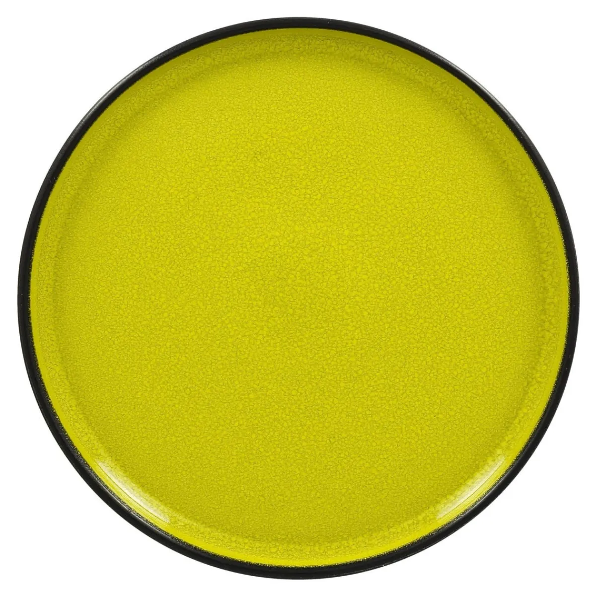 RAK Assiette plate rond vert porcelaine vitrifiée Ø 26,7 cm Fire Discount