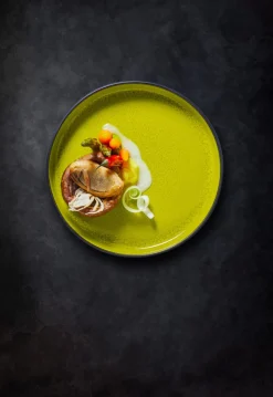 RAK Assiette plate rond vert porcelaine vitrifiée Ø 26,7 cm Fire Discount