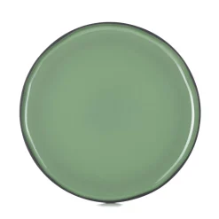 Assiette plate rond vert porcelaine culinaire Ø 30 cm  Caractère - REVOL Sale