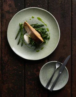 Assiette plate rond vert porcelaine vitrifiée Ø 21 cm Harvest Grain - DUDSON