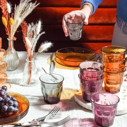 DURALEX Assiette plate transparent verre trempé Ø 23 cm Picardie Hot