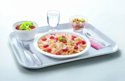 Assiette régithermie rond blanc verre opal Ø 25 cm Heat System - ARCOROC Hot