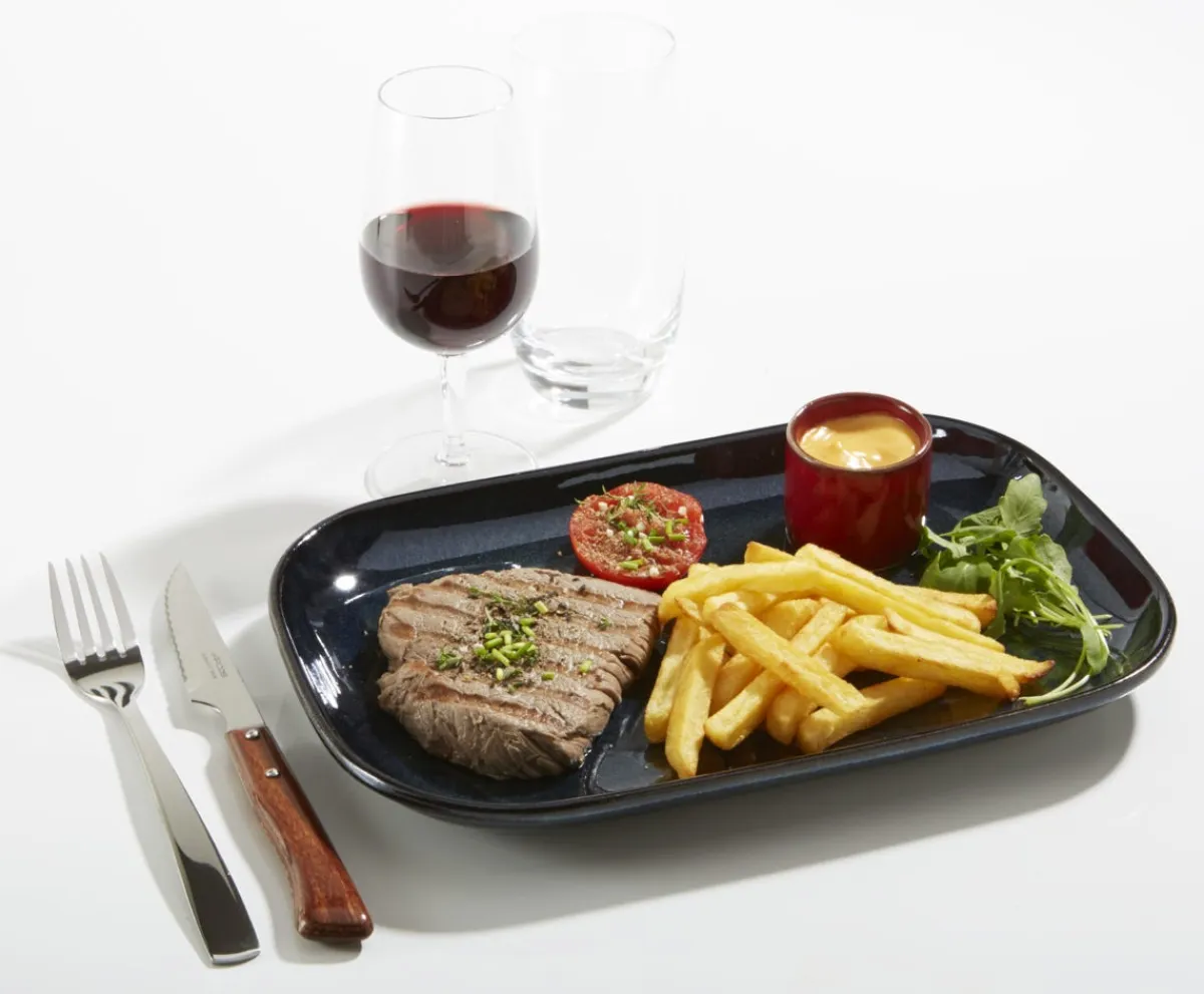 PRO.MUNDI Assiette à steak rectangulaire rouge grès émaillé 29x19,5 cm Gres Couleur Hot