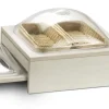 PINTINOX Bac GN 1/2 pour set réfrigéré inox 20 cm Compact Outlet