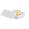 GILAC Bac à pâtons Sans couvercle blanc plastique 30x40x10 cm 9 L fond plein parois pleines Discount