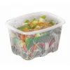 Barquette avec couvercle rectangulaire transparent 17,2x15,8x7,7 cm 135 cl Barquettes Micro Onde (50 pièces) - ALPHAFORM Outlet