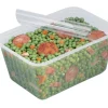 Barquette scellable rectangulaire transparent 13,7x9,6x3,2 cm 25 cl Alphacel (100 pièces) - ALPHAFORM Hot