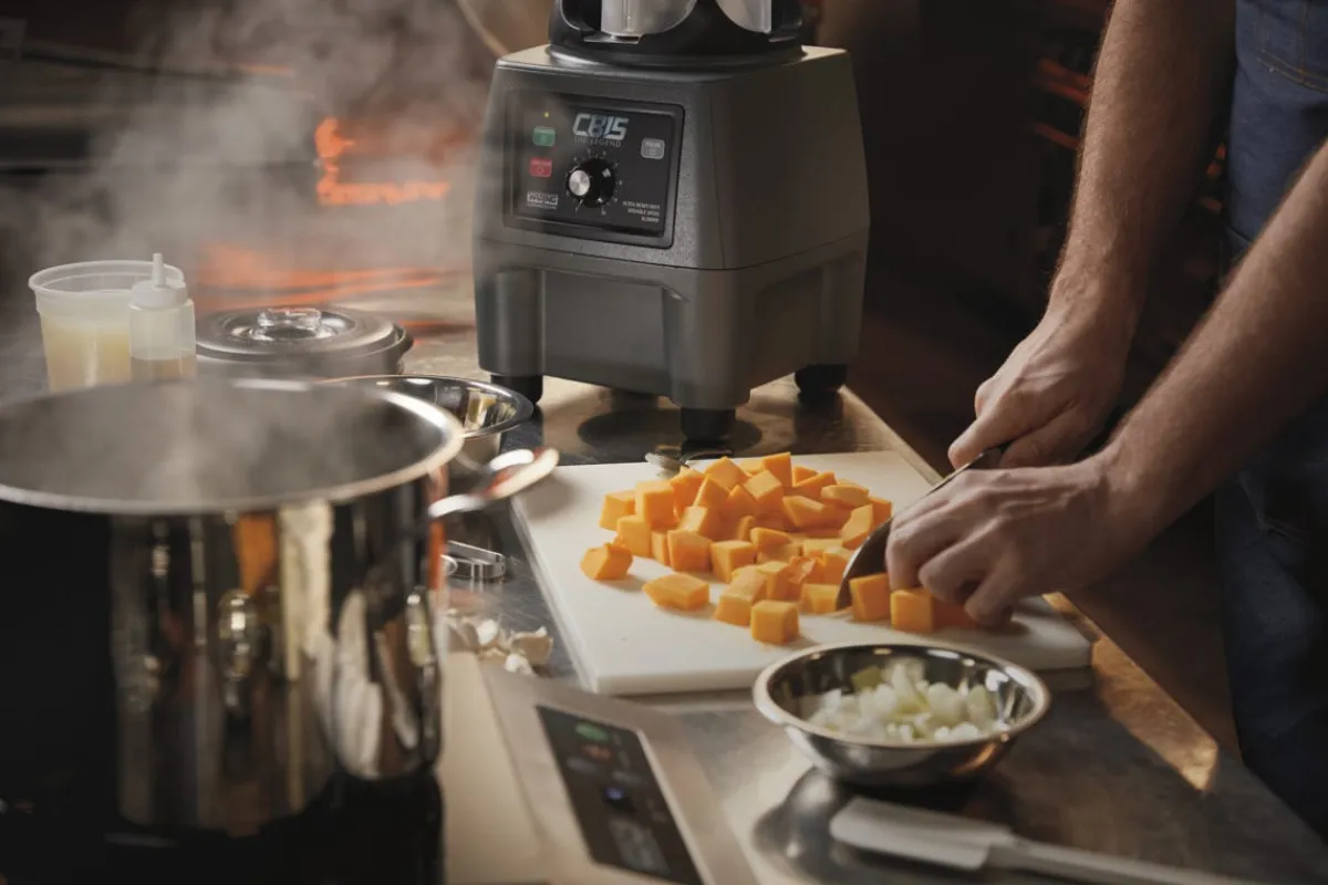 WARING Blender à vitesse variable gris 4 L Cb15