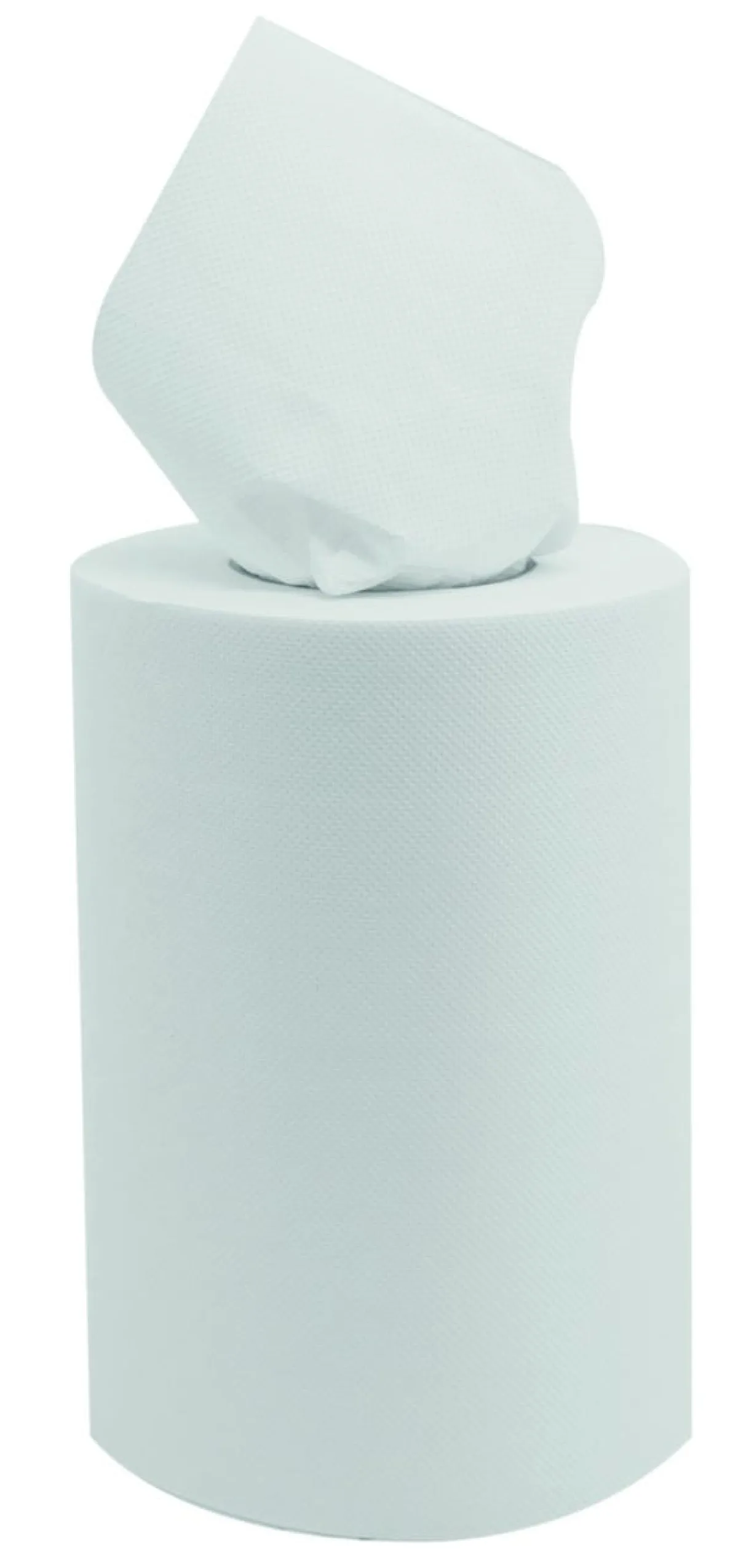 Bobine à dévidage central blanc ouate de cellulose 19,4x25 cm (9 pièces) - Aucune