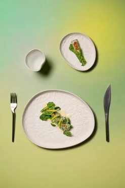 Bol blanc porcelaine 15,5 cm Rex - COOKPLAY Clearance