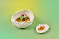 Bol blanc porcelaine 15,5 cm Rex - COOKPLAY Clearance