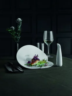 Bol rond blanc porcelaine culinaire Ø 12 cm Canopee - PILLIVUYT Hot