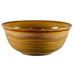 Bol rond Garnet porcelaine vitrifiée Ø 16 cm stone Spot - RAK Outlet