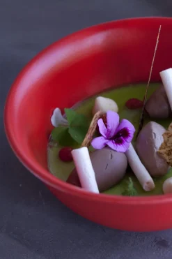 RAK Bol rond rouge porcelaine vitrifiée Ø 16 cm Neo Fusion Online