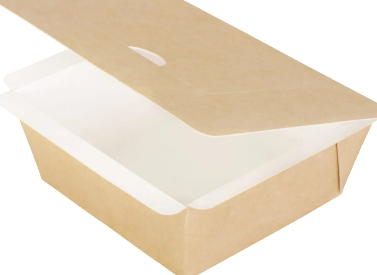 DUNI Boîte avec couvercle fenêtre rectangulaire marron 11,5x11,5x5 cm 55 cl (250 pièces)