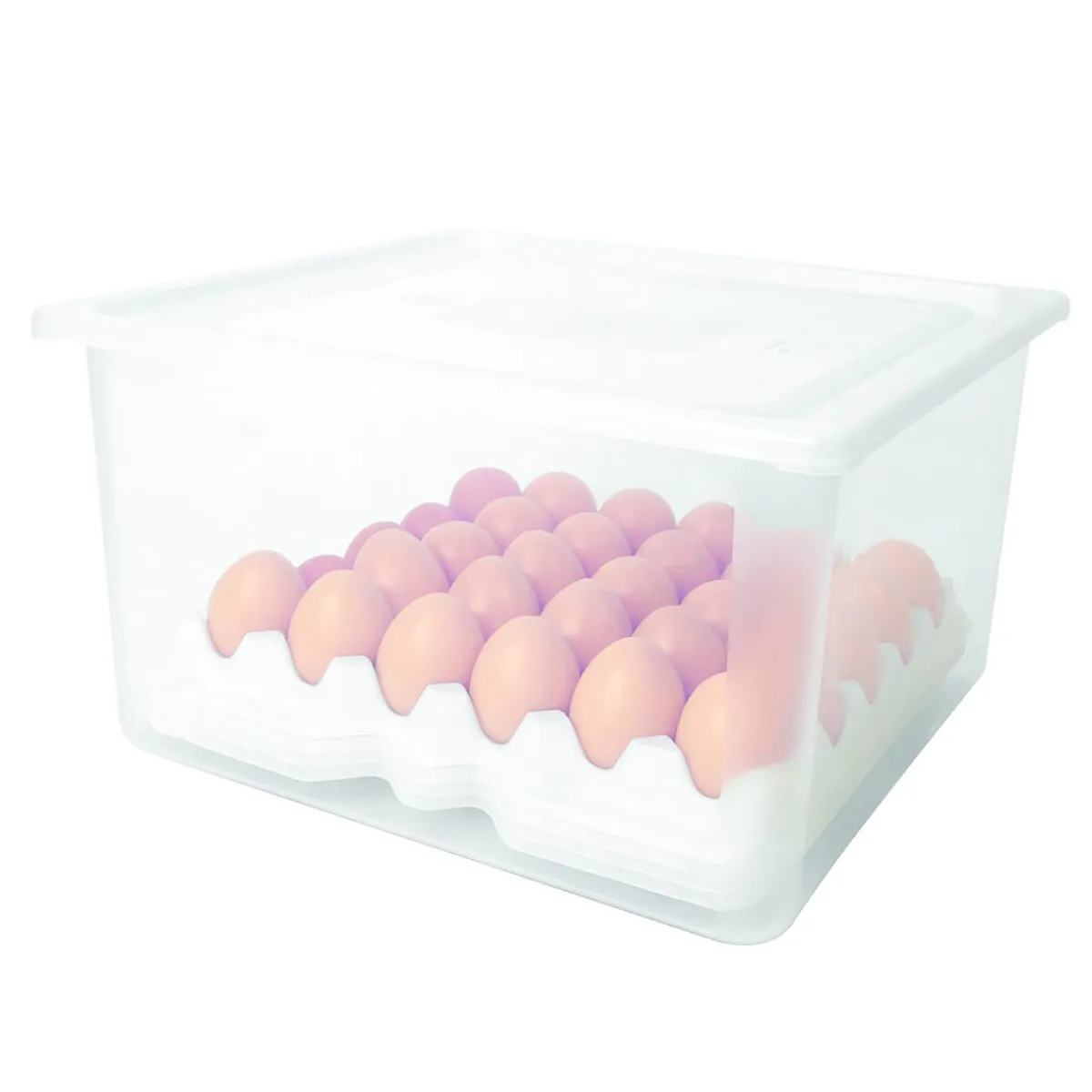 Aucune Boîte à oeufs GN 2/3 avec 8 plateaux Avec couvercle transparent plastique 33,5x32,5x200 cm 18 L Sale