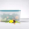 ZWILLING Boîte sous-vide L Avec couvercle transparent plastique 21,4x14,4x12,8 cm 2,3 L Fresh & Save Sale
