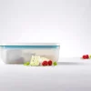 ZWILLING Boîte sous-vide XL Avec couvercle transparent plastique 24,1x18,1x9,7 cm 2 L Fresh & Save Best