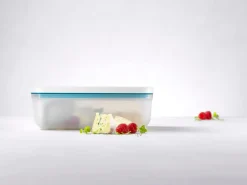 ZWILLING Boîte sous-vide XL Avec couvercle transparent plastique 24,1x18,1x9,7 cm 2 L Fresh & Save Best