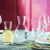 BORMIOLI ROCCO Carafe verre cristallin 25 cl Ypsilon Wine