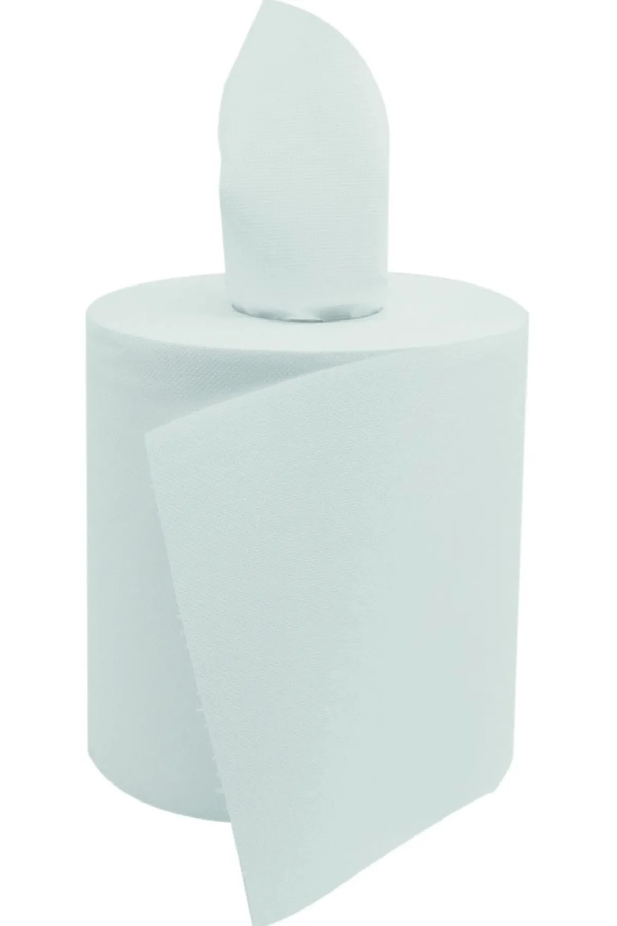 Aucune Carton de 6 rouleaux d'essuie-mains blanc Ø 19 cm 57x38x17 cm Renovelar