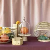 REVOL Cloche avec socle bois verre Ø 20 cm 24 cm Clearance