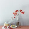 Cloche verre Ø 18 cm 21 cm - REVOL Sale