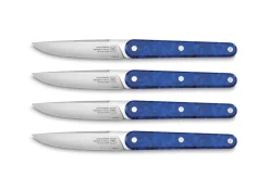 Coffret de 4 couteaux de table bleu 22 cm Joseph - TARRERIAS BONJEAN New
