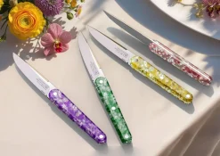 TARRERIAS BONJEAN Coffret de 4 couteaux de table multicolore 22 cm Joseph Best