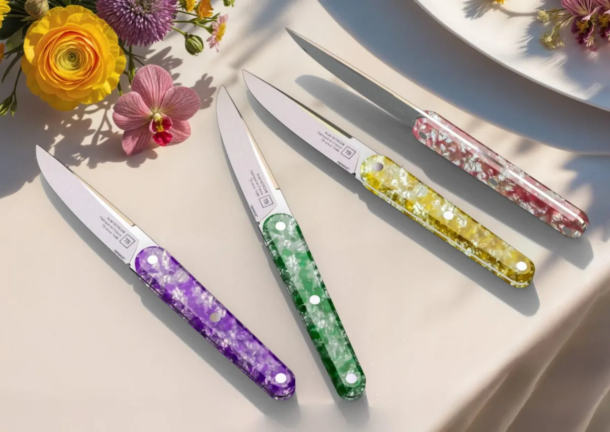 TARRERIAS BONJEAN Coffret de 4 couteaux de table multicolore 22 cm Joseph Best