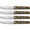 TARRERIAS BONJEAN Coffret de 4 couteaux de table noir 22 cm Joseph Hot
