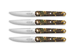 Coffret de 4 couteaux de table vert 22 cm Joseph - TARRERIAS BONJEAN