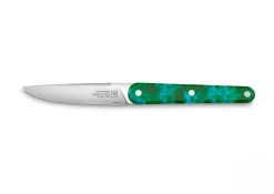 Coffret de 4 couteaux de table vert 22 cm Joseph - TARRERIAS BONJEAN