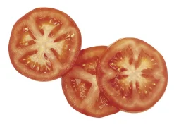 ROBOT COUPE Combiné cutter coupe-légumes R301 ULTRA 70 couverts 230 W 230v Hot