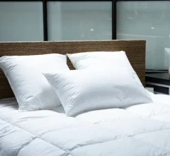 Couette rectangulaire 200x140 cm 400 g/m² coton Confort Absolu - EDONA Online