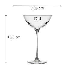 NUDE Coupe coupetini verre cristallin 17 cl Savage Hot
