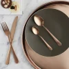 Couteau à dessert cuivre 21 cm Austin Pvd Cuivre - AMEFA Sale