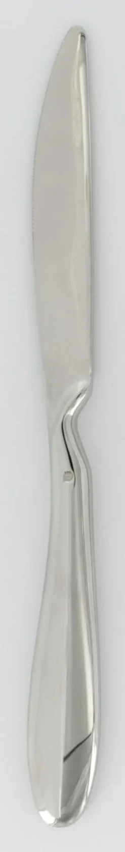 Couteau à dessert ergonomique monobloc cranté 21,5 cm Anzo - ETERNUM