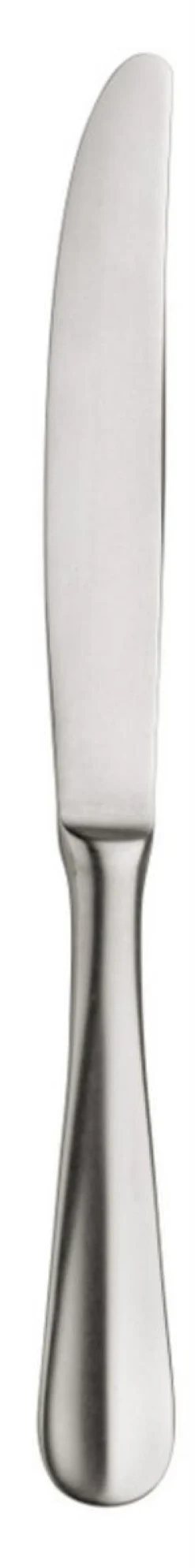 Couteau à dessert monobloc 22 cm Baguette Stoned - PINTINOX Hot