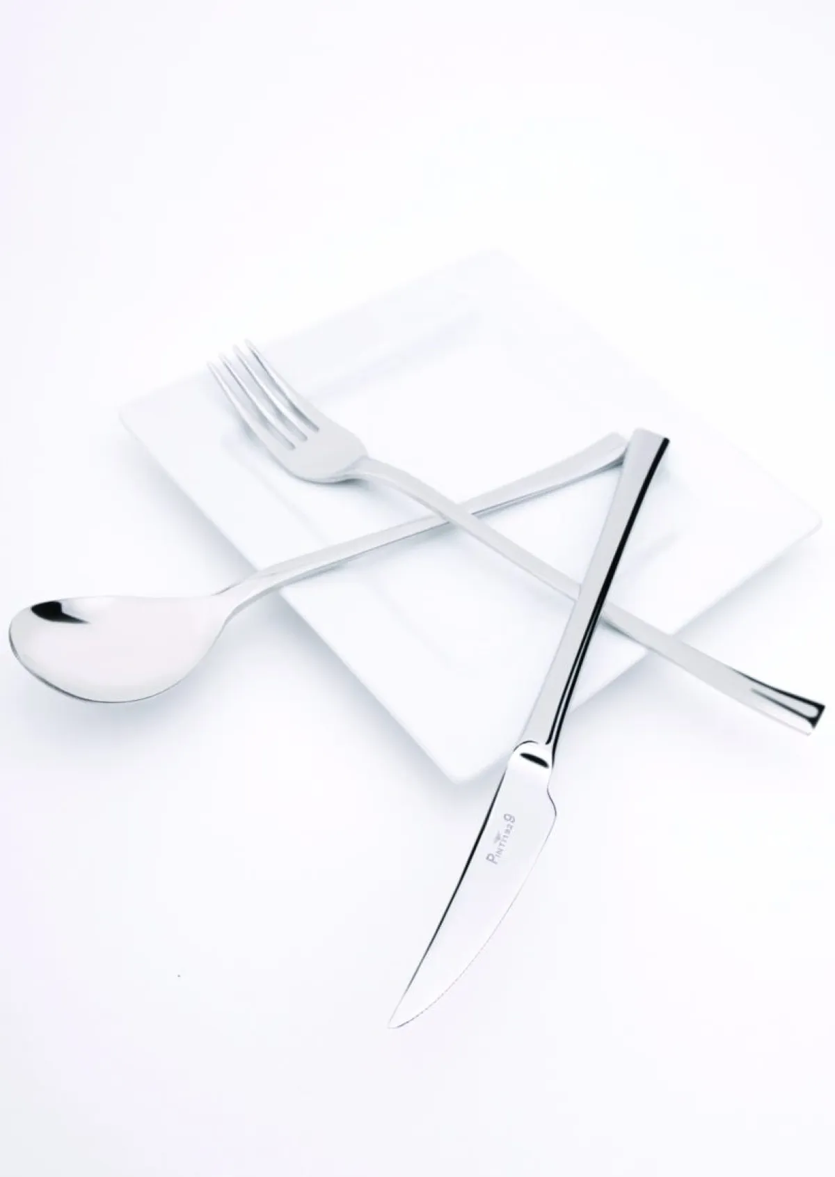 Couteau à dessert monobloc 21,4 cm Concept - PINTINOX