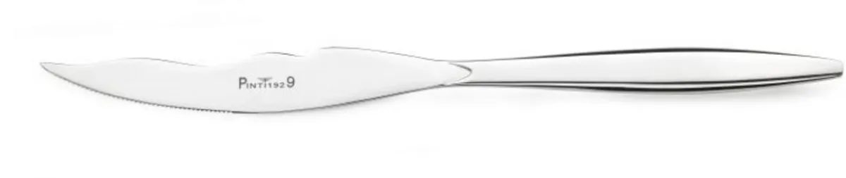 Couteau à dessert monobloc 21,5 cm Tulipani - PINTINOX Online