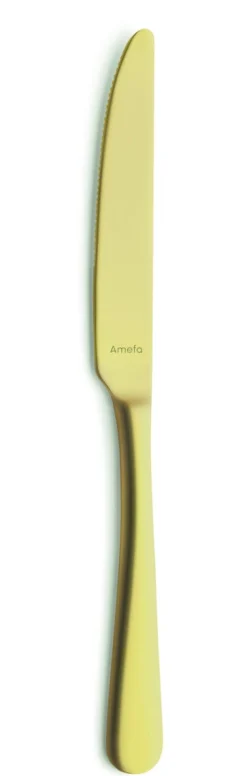 AMEFA Couteau à dessert or 21 cm Austin Pvd Or Hot