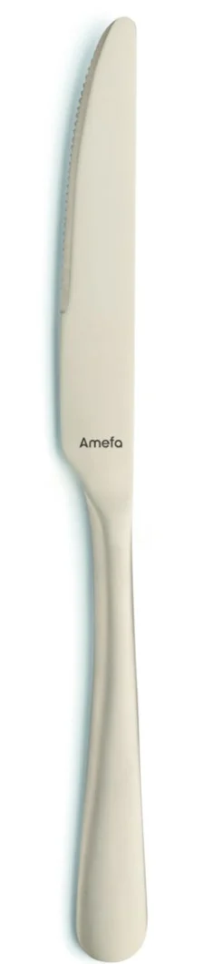 AMEFA Couteau à dessert or 21 cm Austin Pvd Champagne Best