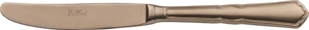 PINTINOX Couteau de table monobloc bronze 22,7 cm Settecento Best