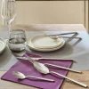 Couteau de table monobloc 23,5 cm Alma - PRO.MUNDI Discount