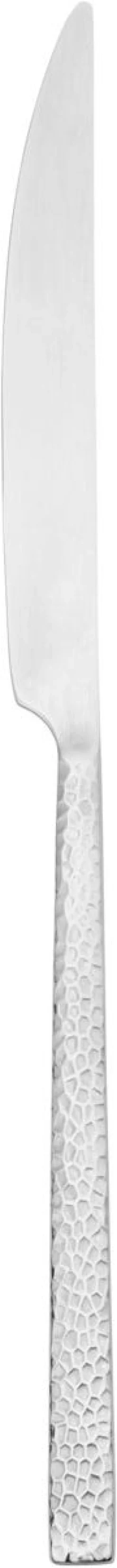 ETERNUM Couteau de table monobloc 23,5 cm Iseo Martele Discount